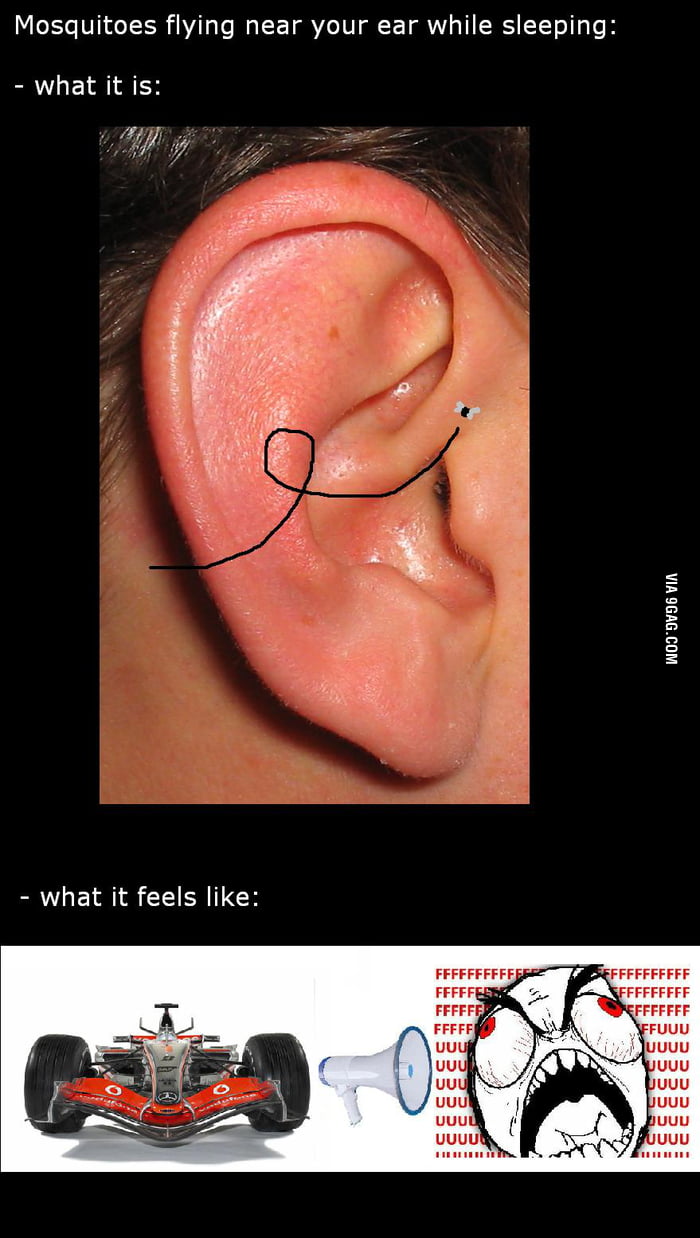 mosquitoes-flying-near-your-ear-9gag