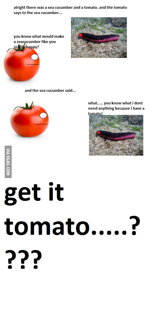 Anti Joke Sea Cucumber 9GAG