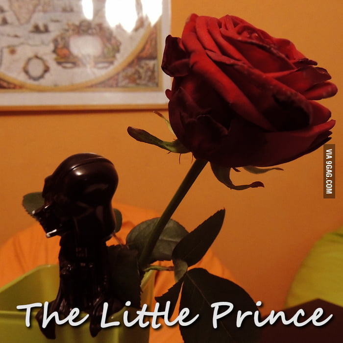 The Little Prince and the rose. - 9GAG
