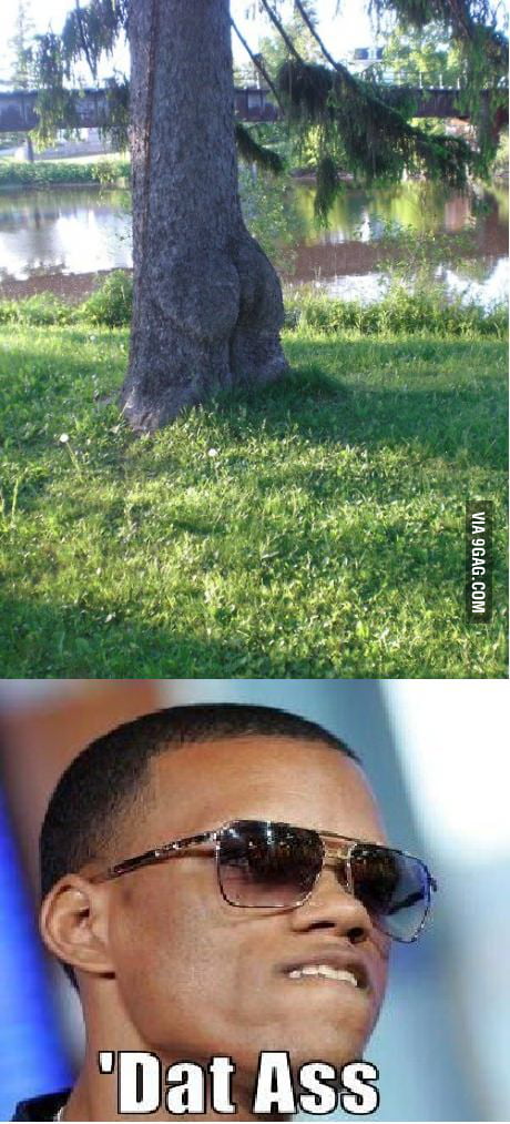 Dat Ass - 9GAG