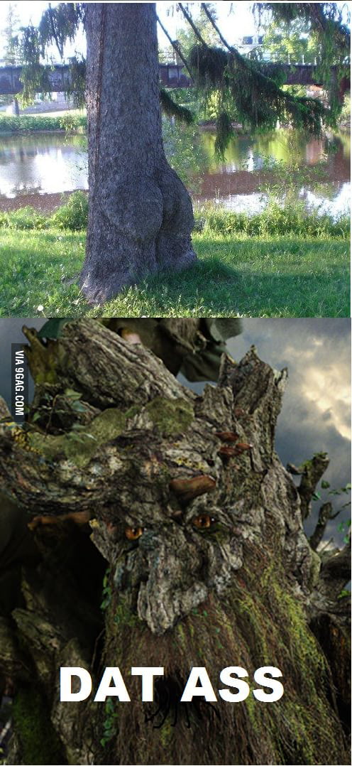 DAT ASS - 9GAG