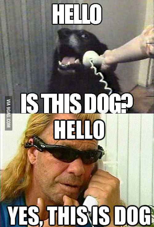 Hello Yes This Is Dog 9gag