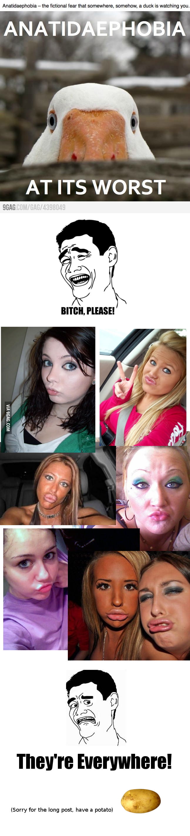 Anatidaephobia is a real issue! 9GAG