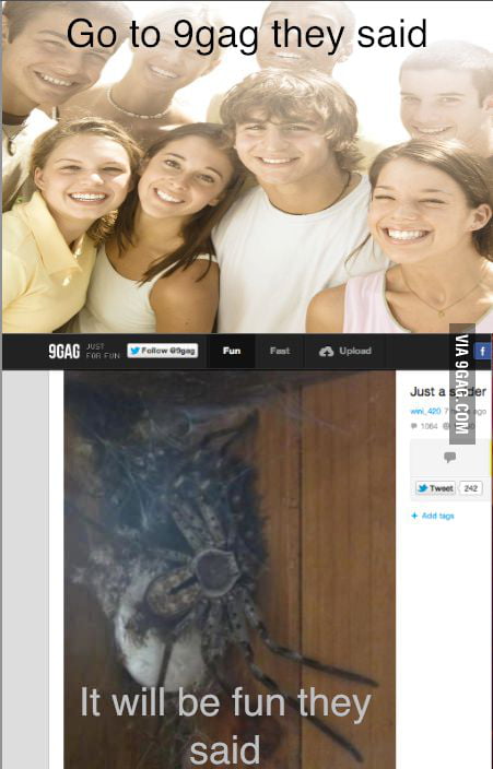 Fun they said - 9GAG
