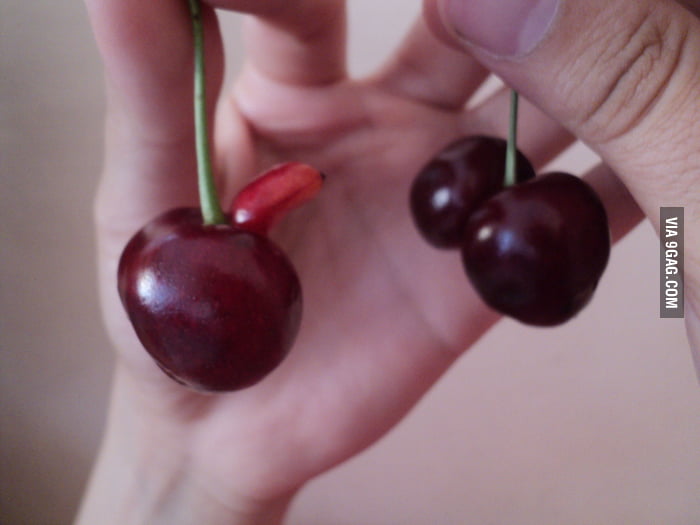 Just Some Horny Cherries 9gag