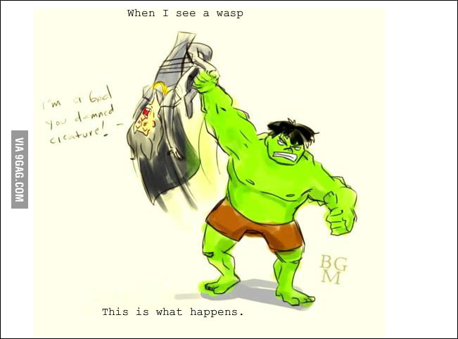 Hulk Smash Wasp? - 9GAG