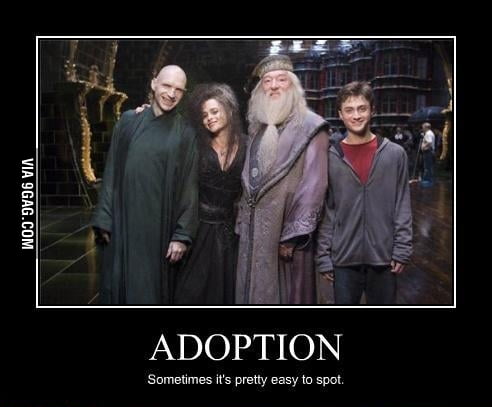Shh!! Harry doesn't know it yet! - 9GAG