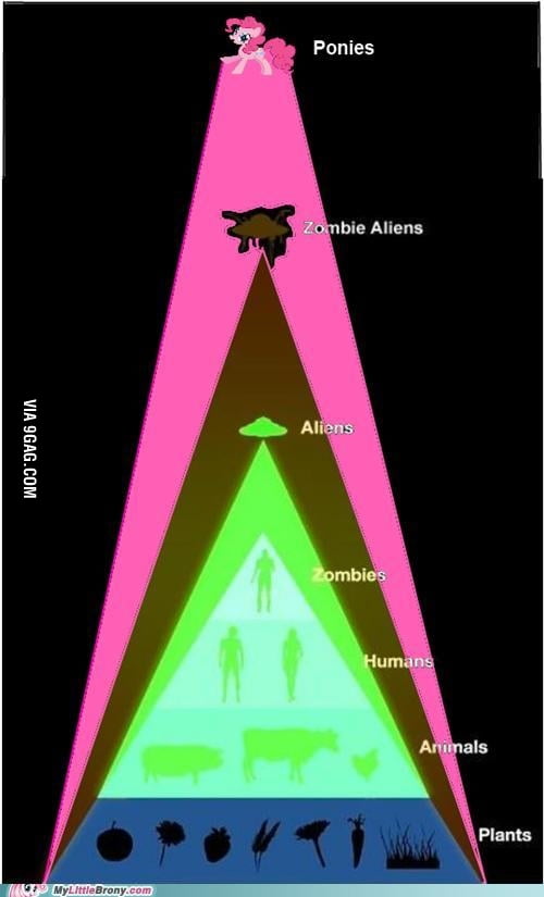 The really real food chain Biology Diagrams