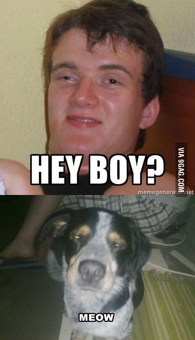 Really High Guy's Dog - 9GAG