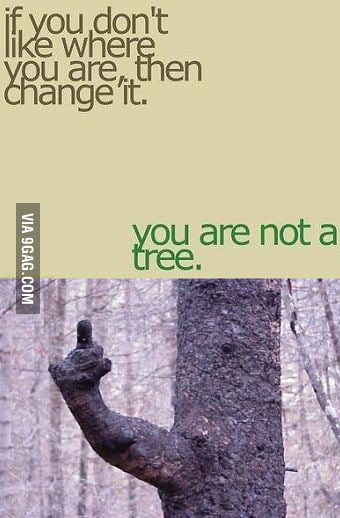 You are not a tree - 9GAG