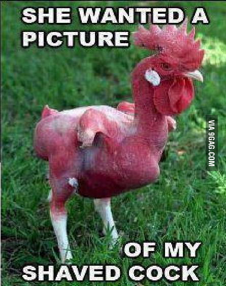 She Wanted A Picture Of My Shaved Cock 9gag