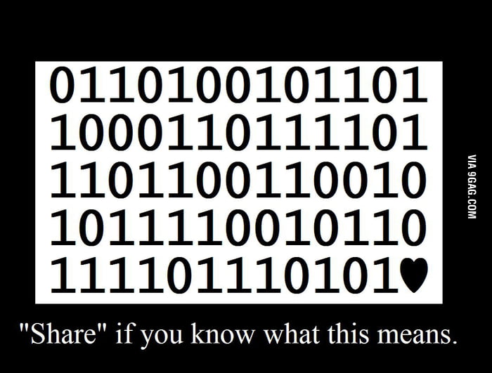 From A Programmer - 9GAG