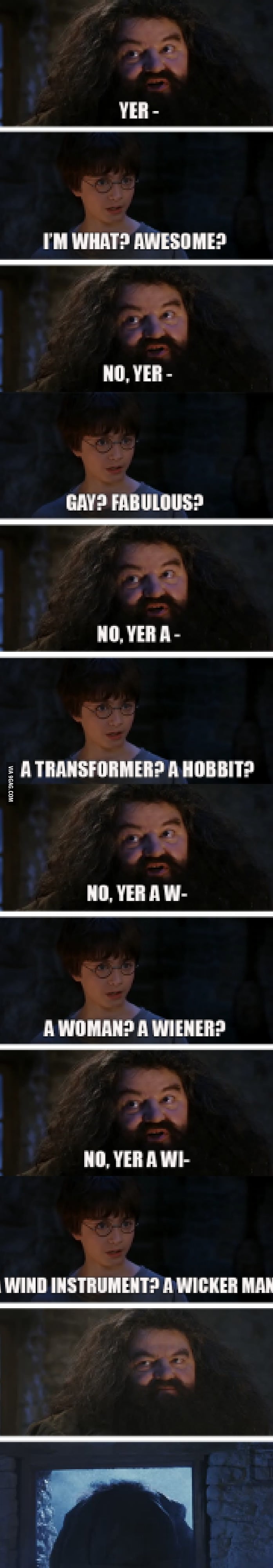 Harry is a what? - 9GAG