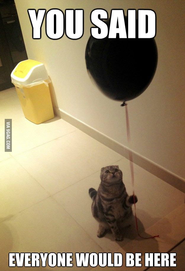 sad birthday cat