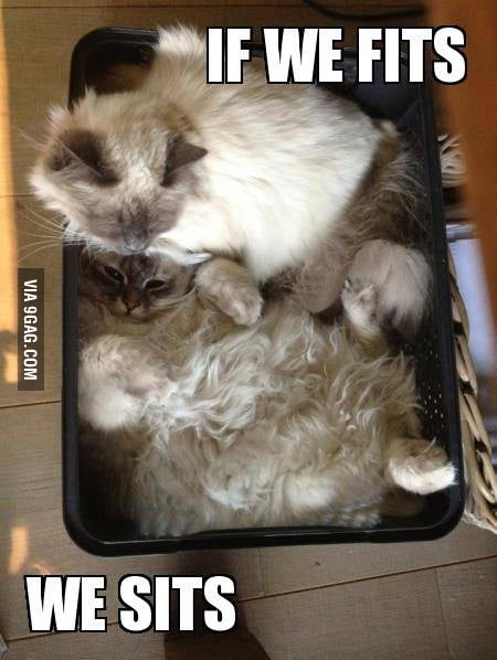 If we fits, we sits. - 9GAG