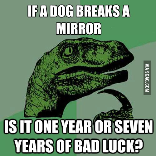 if-a-dog-breaks-a-mirror-9gag