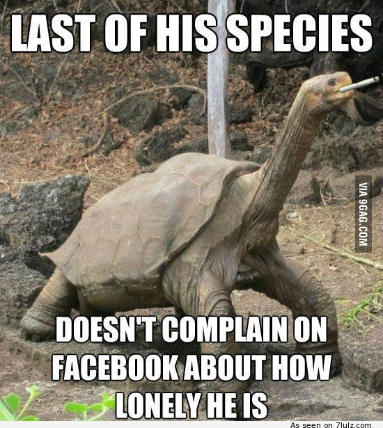 Lonesome George - 9GAG