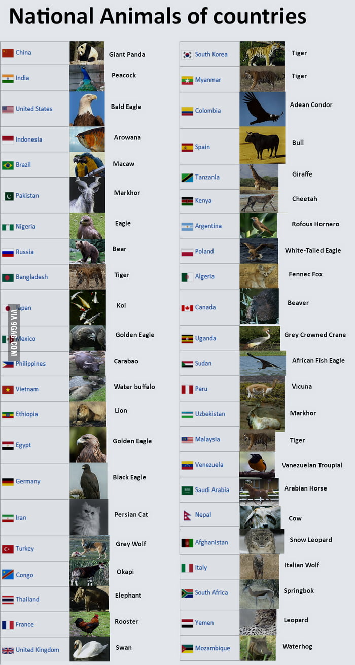 National Animals Of Countries 9GAG