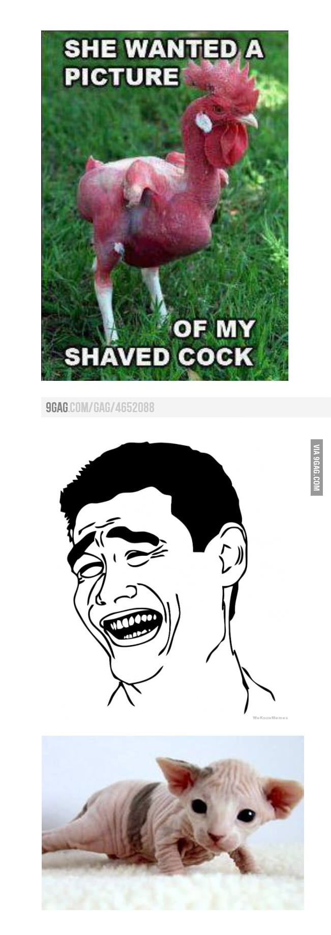 Shaved Cock 9gag