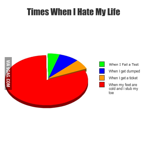 My first pie chart creation! - 9GAG
