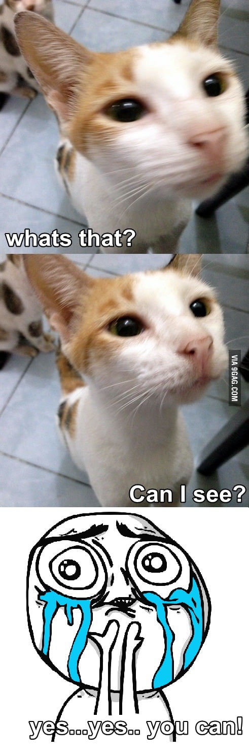 Can I see? - 9GAG