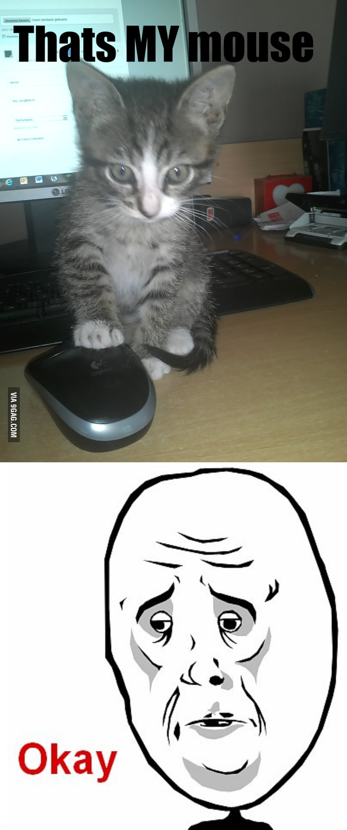 Cute kittys are mean.. 9GAG