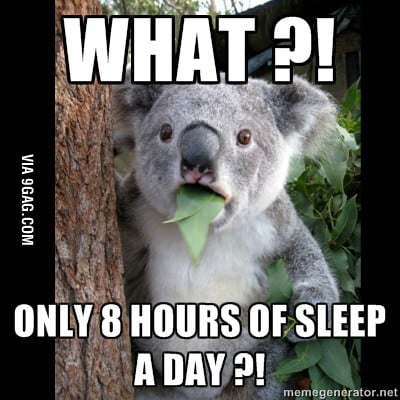 Koala sleeps 22 hours a day... - 9GAG