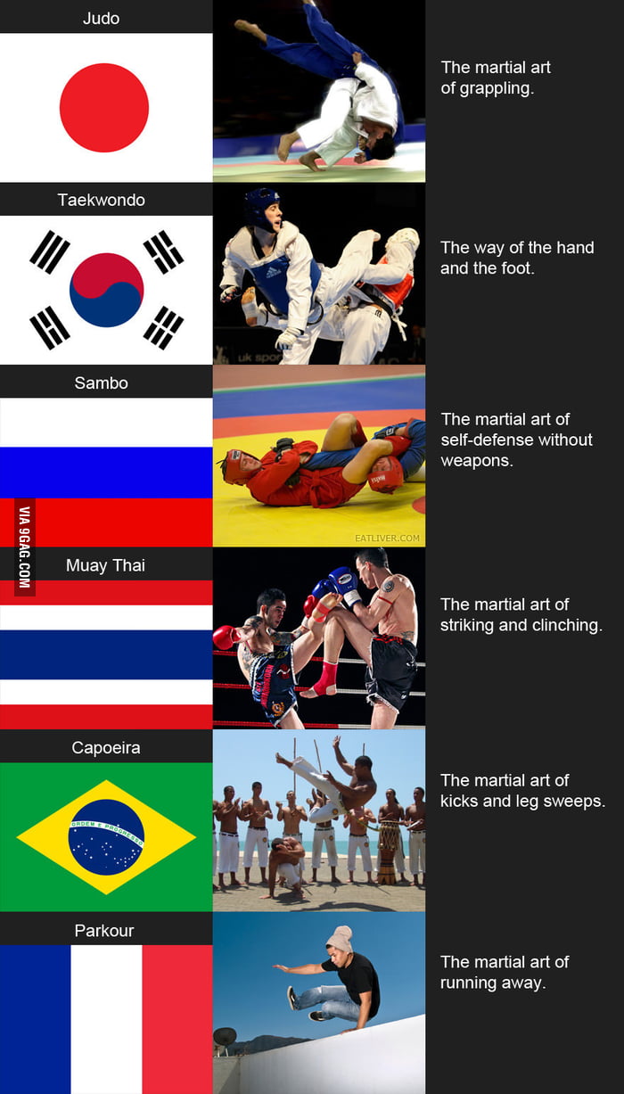 mixed-martial-arts-a-style-guide-dark-color-martial-arts-sparring