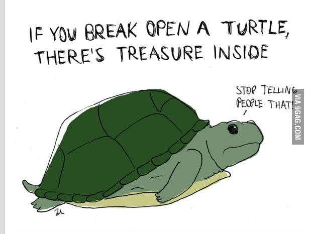 I like turtles - 9GAG