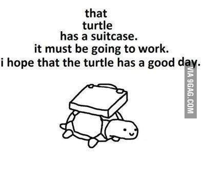 That turtle - 9GAG