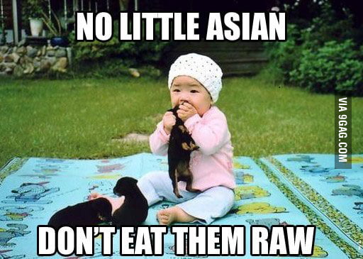 No Little Asian 9GAG