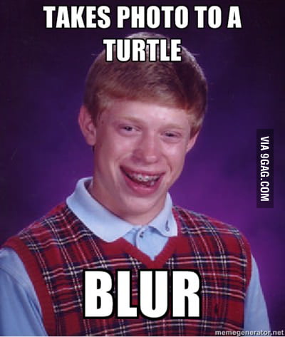 Fast turtle! - 9GAG