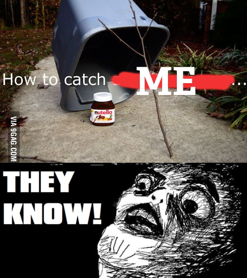 They know! - 9GAG