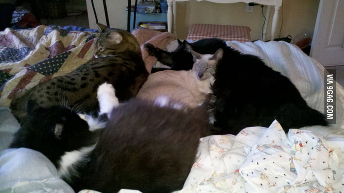 Nap time!
