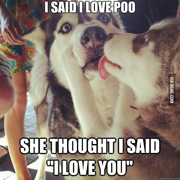 Relationship Dog