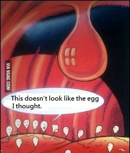 The egg I thought - 9GAG