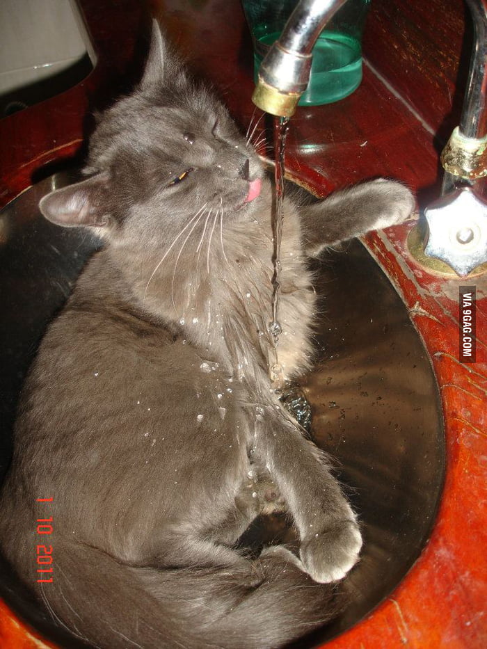 Just Drinking Some Water xD 9GAG
