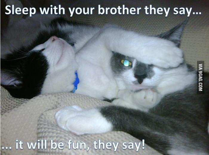 Sleep with your brother they say... - 9GAG