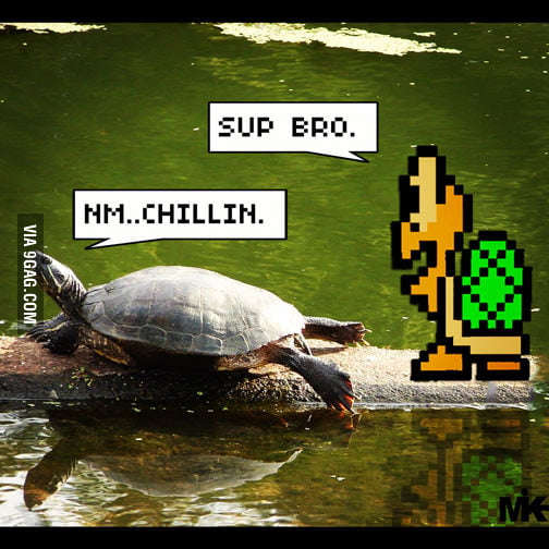 Turtle Talk - 9GAG