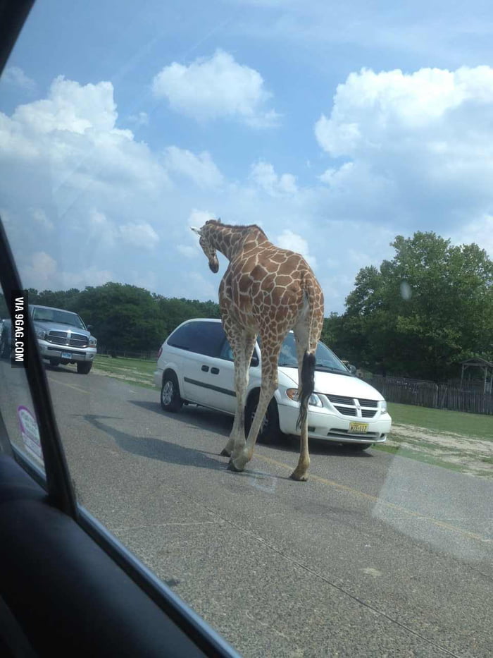 He looked lost