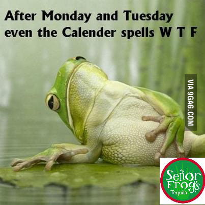 After Monday And Tuesday Even The Calendar Spells Wtf! - 9gag