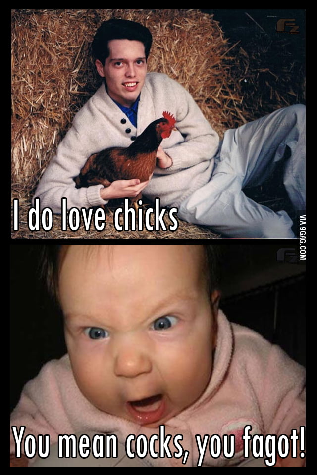 Chicks And Cocks 9gag 9375