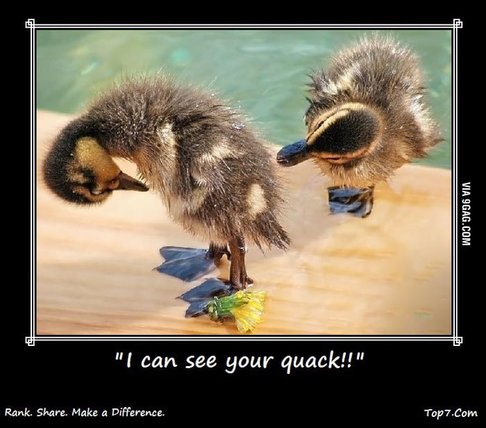 I Can See Your Quack! - 9GAG