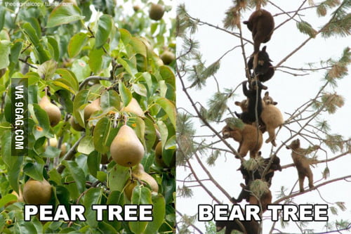 They look the same - 9GAG