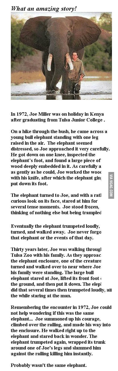 Epic Story is Epic - 9GAG