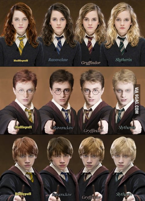 Harry, Ron and Hermione in different houses - 9GAG