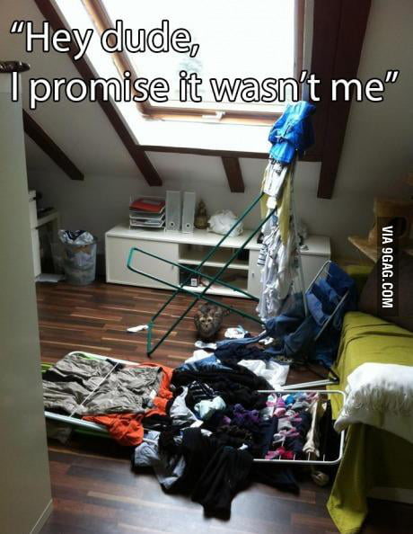 I even would swear it !!! - 9GAG