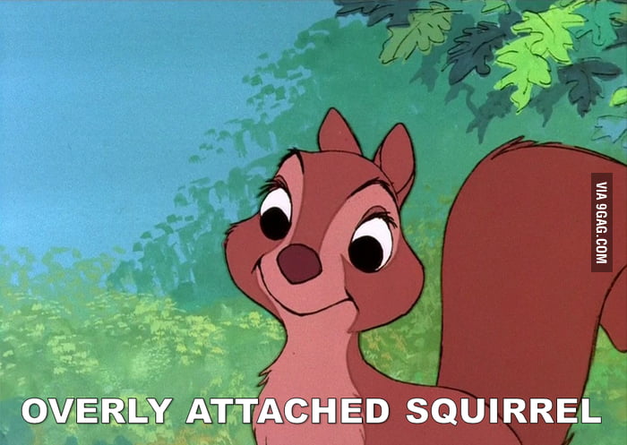 The Sword in the Stone's Little Girl Squirrel - 9GAG