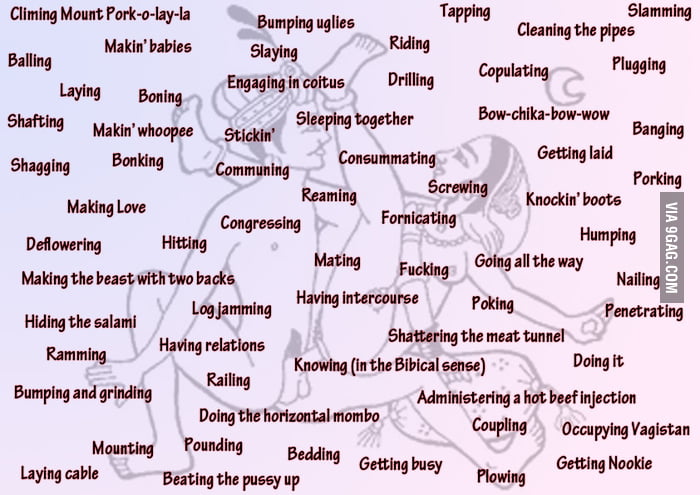 65 Most Popular Synonyms For “having Sex” 9gag 