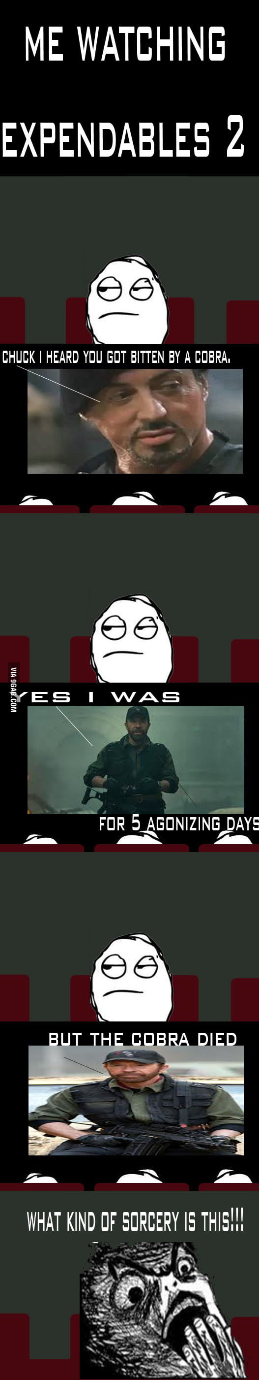 Chuck Norris Strikes Again Gag